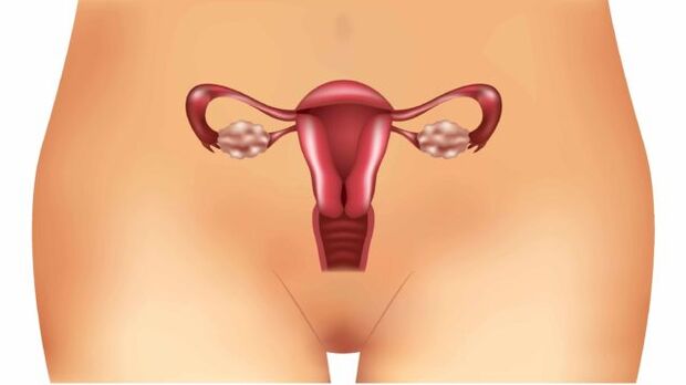 varicose veins of the uterus