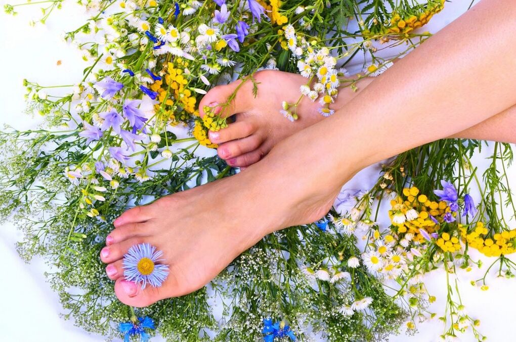 Varicose herbs